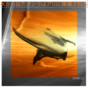 Kou_240705_2